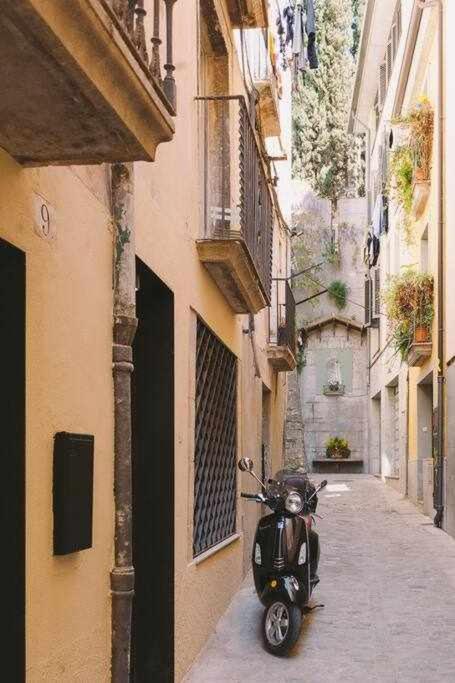 Velo Vern 1 Beautiful New Apartment 2 Bed Ensuite Girona Exteriör bild